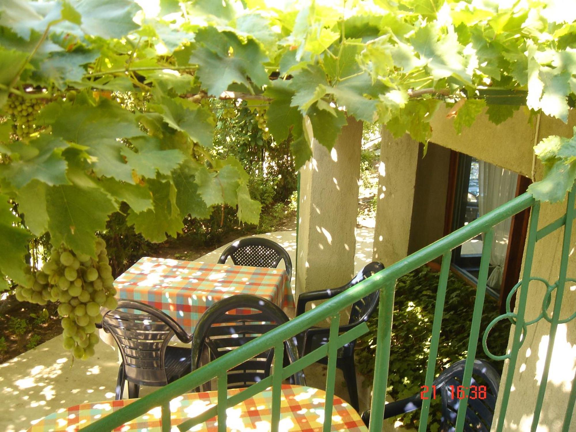 Villa Elfi Golden Sands Esterno foto