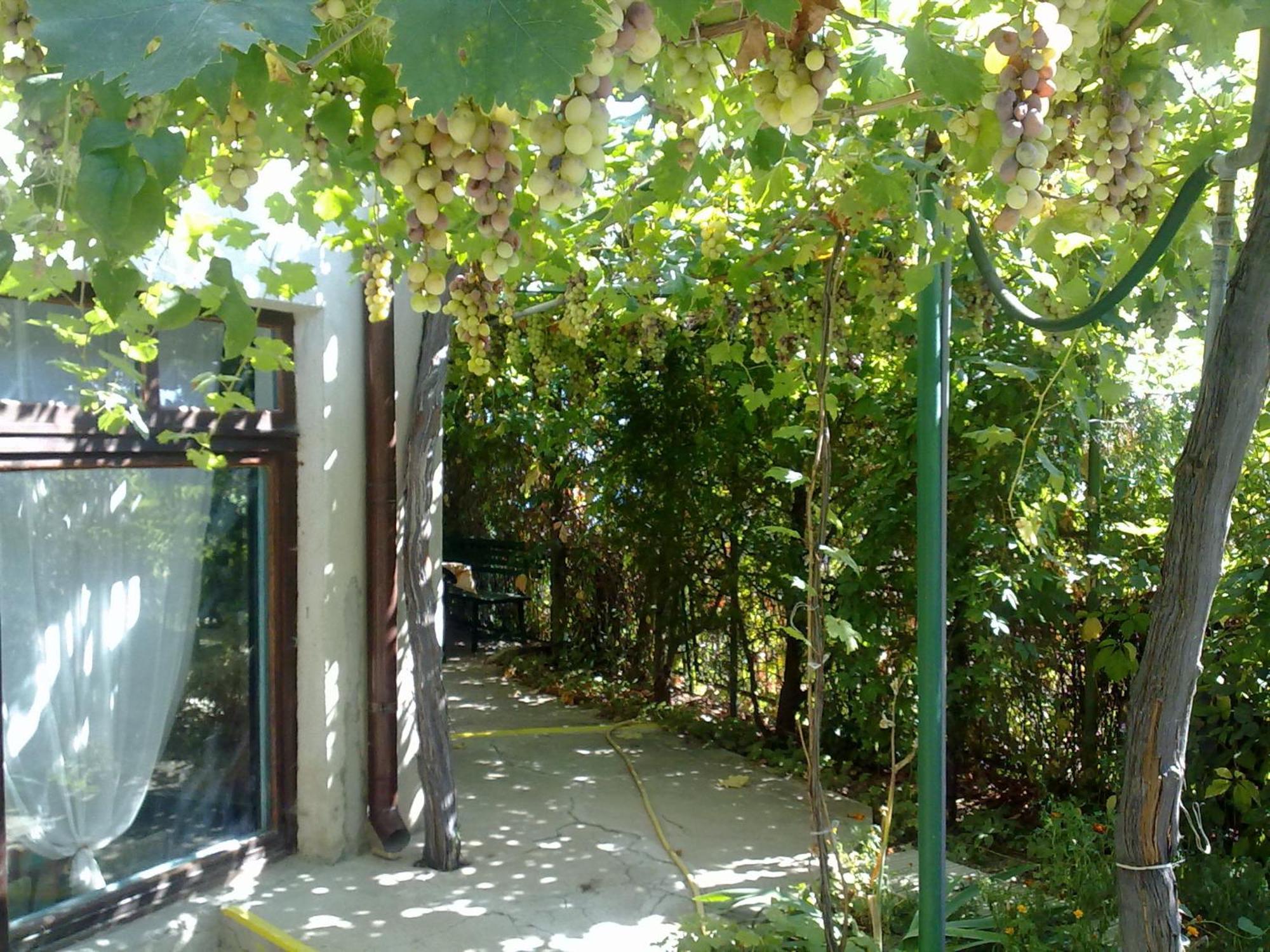 Villa Elfi Golden Sands Esterno foto